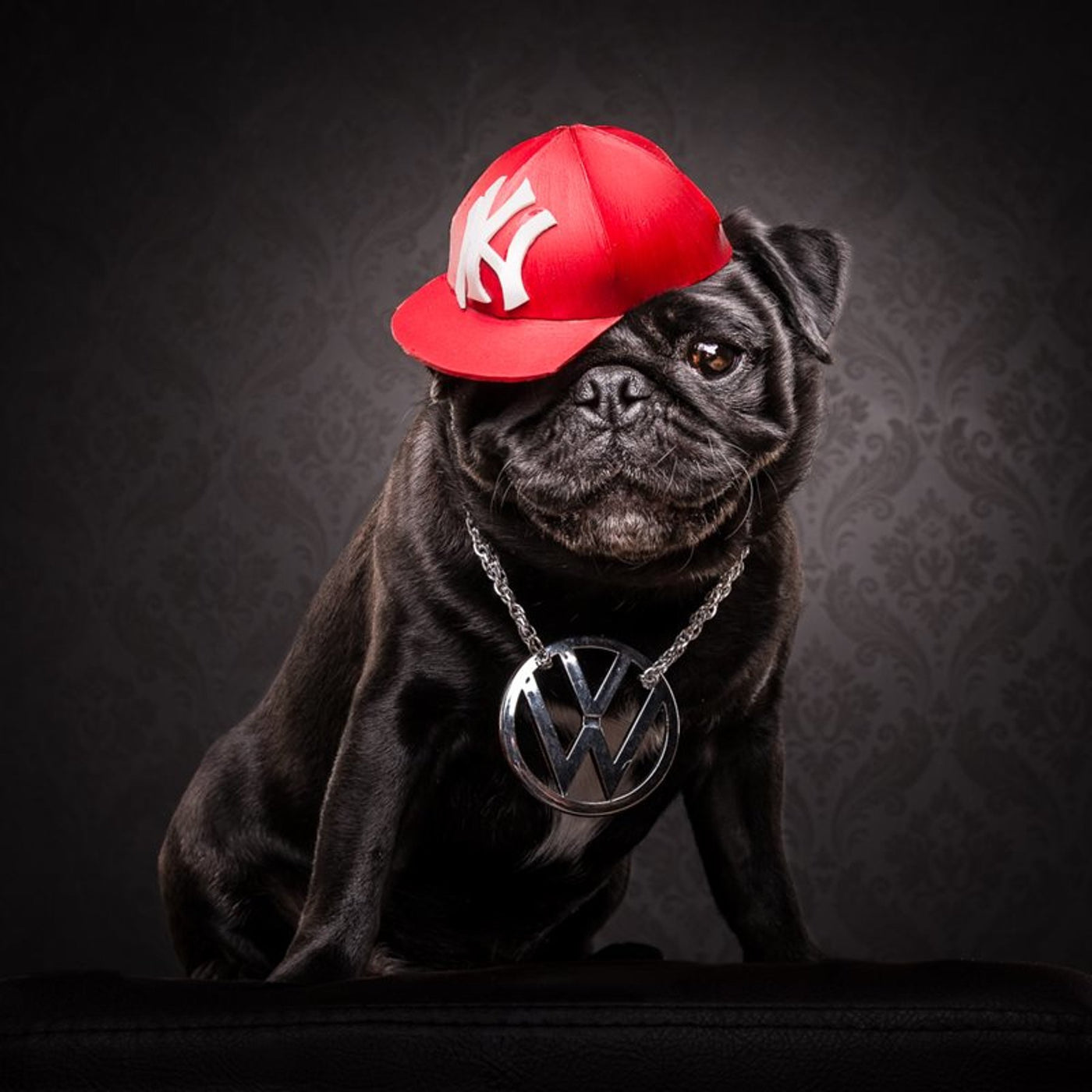 The Pug Life