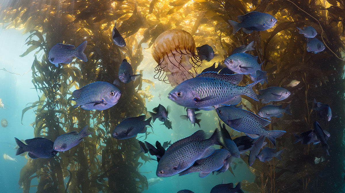 Celebrating World Photography Day: Girls Who Click Photographers Inspiring Change