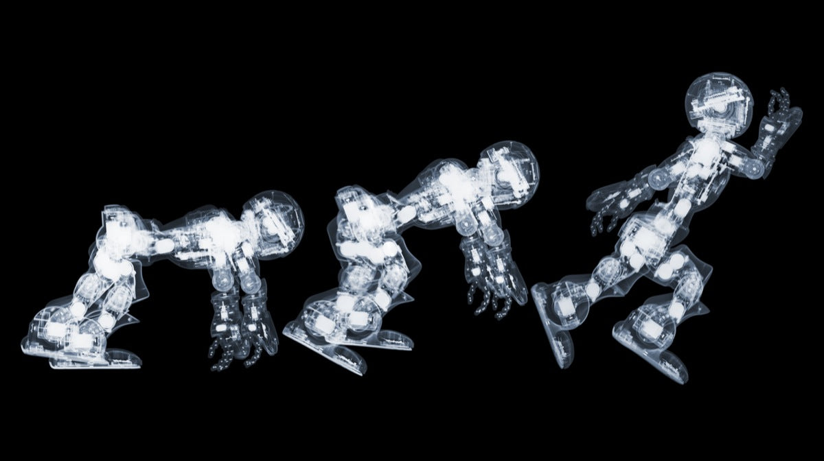 Profolio: Nick Veasey's X-Ray Photography – COOPH