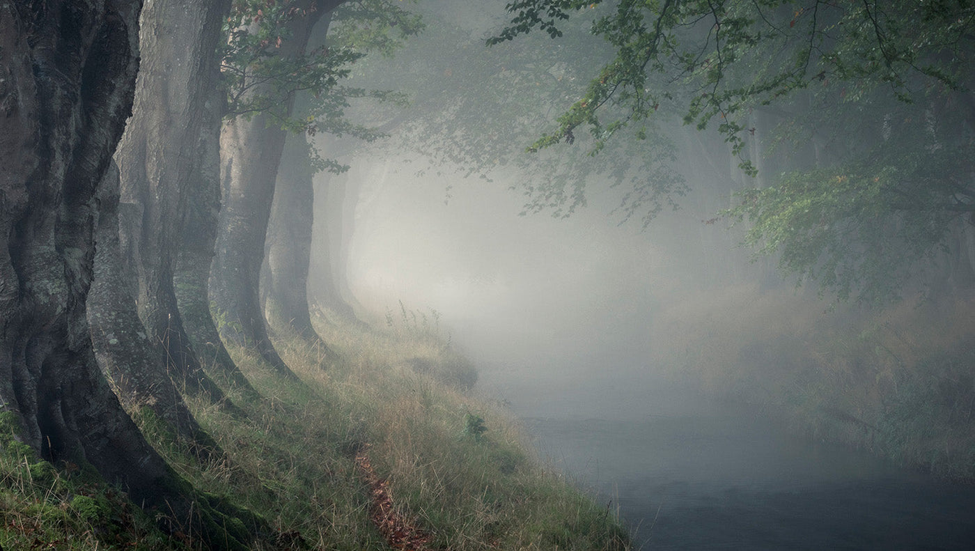 PROFOLIO: Paul Killeen