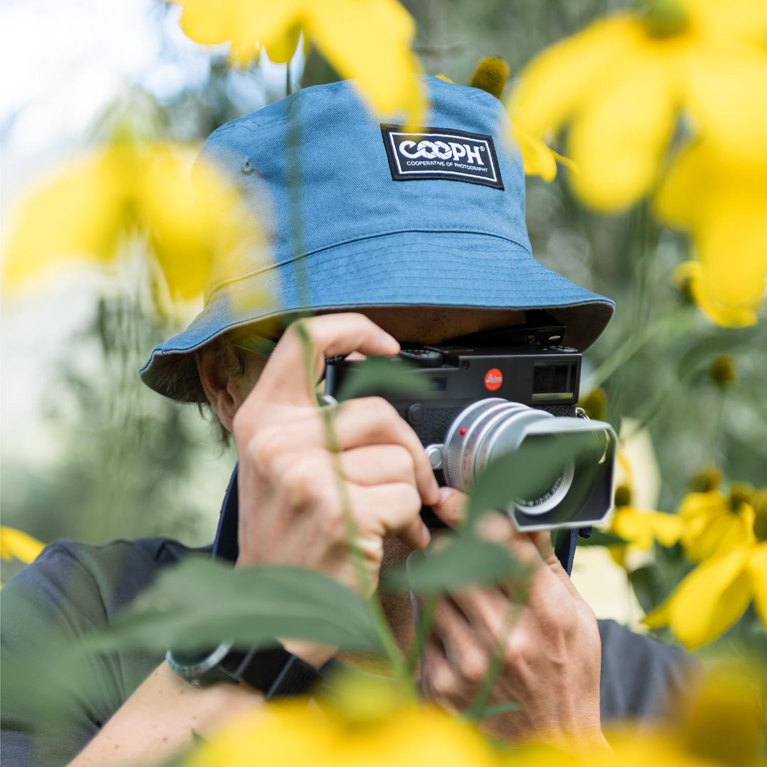 Fisher Color Color Chart FISHER HAT – COOPH
